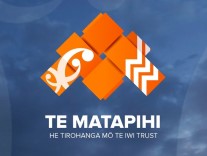 Te Matapihi